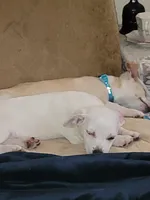 processed/16ea0a0a-496a-4051-84b4-eea23ff6020b/facility/5666a884-a774-4e3f-9764-736d8e63d16d