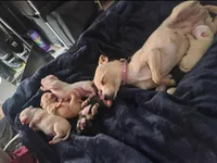 processed/16ea0a0a-496a-4051-84b4-eea23ff6020b/facility/68971d2b-28cf-4766-af91-885bd6cb0ddc