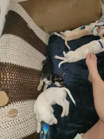 processed/16ea0a0a-496a-4051-84b4-eea23ff6020b/facility/98b22f04-918e-4faf-9c8c-c3ee55b806e5