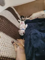 processed/16ea0a0a-496a-4051-84b4-eea23ff6020b/facility/c6d8aa26-a44e-4874-a141-db895da5806d