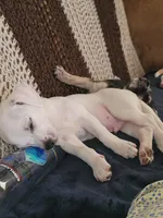 processed/16ea0a0a-496a-4051-84b4-eea23ff6020b/facility/d88ded7e-4482-47b9-b72d-fac6a293765d