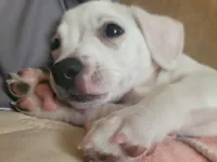 processed/16ea0a0a-496a-4051-84b4-eea23ff6020b/facility/ddc6c0c3-8493-46b1-ab89-de50c52a9015