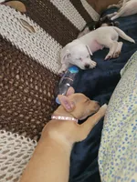 processed/16ea0a0a-496a-4051-84b4-eea23ff6020b/facility/df1f7361-b8f8-4860-8e94-1a74095da8d7