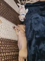 processed/16ea0a0a-496a-4051-84b4-eea23ff6020b/facility/e1a64127-2e5c-4da9-a5dd-7d5f200232cd