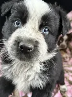 processed/16ea1d26-fac0-4817-87f3-9e3c929c64df/listing/20476690-c4d8-4e4c-b72a-4a4cc47801d5/c3e7460a-f402-4096-bf61-3da1a21e4fb2