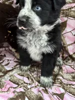 processed/16ea1d26-fac0-4817-87f3-9e3c929c64df/listing/20476690-c4d8-4e4c-b72a-4a4cc47801d5/fbc71c9d-674b-4766-bbc3-dece1ba61740