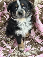 processed/16ea1d26-fac0-4817-87f3-9e3c929c64df/listing/c000a1d6-4c3b-4053-9397-361b597dde3f/727987ef-1034-4334-a4e2-08e1fa117f9a