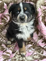 processed/16ea1d26-fac0-4817-87f3-9e3c929c64df/listing/c000a1d6-4c3b-4053-9397-361b597dde3f/99ae44c9-8527-40c8-bd38-d402b7b7f909