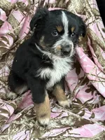 processed/16ea1d26-fac0-4817-87f3-9e3c929c64df/listing/c000a1d6-4c3b-4053-9397-361b597dde3f/b8ec40c1-8406-408d-b8e7-0b798894ef2d