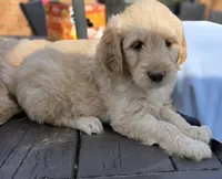 processed/16f07461-3047-4dad-8c67-619e586dbf2a/facility/49860d8a-a81d-45d9-a30b-9917e1cc4f89