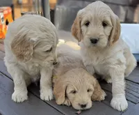 processed/16f07461-3047-4dad-8c67-619e586dbf2a/facility/d424f3a9-0941-4257-9e3c-175714caaa84