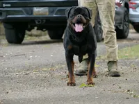 processed/16fa272e-3b25-42db-af27-141cfec128db/facility/195ed15a-4564-4f77-9c9c-07ee75830987