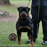 processed/16fa272e-3b25-42db-af27-141cfec128db/facility/c6973222-8e15-46a0-b914-ab828778b88b