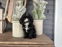 processed/16fb2a41-9bfb-4b4c-93c2-cb250e33e791/listing/af539ca7-f42a-4d42-a45f-282c63a11a7b/35dccfde-6f3f-4432-8e2b-4501bc4dc87e