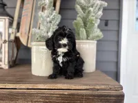 processed/16fb2a41-9bfb-4b4c-93c2-cb250e33e791/listing/af539ca7-f42a-4d42-a45f-282c63a11a7b/5deedc7b-1623-4c5b-a96b-6422052a4e69