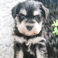 processed/17048cad-24e9-4b01-92b9-bebf3d8eeae9/facility/c8ce9181-1efe-4631-a8e2-84c8bfc80bef