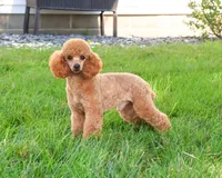 processed/17048cad-24e9-4b01-92b9-bebf3d8eeae9/listing/035e4fe0-1137-4c15-bd76-7eda70bfb9ae/b1e66b7b-74c4-4434-a60d-f6baf494761e