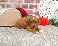 processed/17048cad-24e9-4b01-92b9-bebf3d8eeae9/listing/035e4fe0-1137-4c15-bd76-7eda70bfb9ae/f3e17b22-9e9b-4316-ba85-bc2a03d6e787