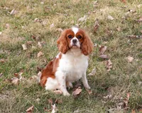 processed/17048cad-24e9-4b01-92b9-bebf3d8eeae9/listing/05cdaad0-7cf8-4c26-b790-a84970a95cc8/8d8b3df2-d2f0-415d-847d-7725d511a857