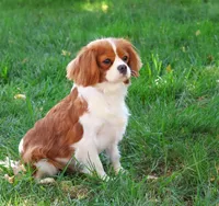 processed/17048cad-24e9-4b01-92b9-bebf3d8eeae9/listing/0a34be81-f12b-4bf2-ac0a-ad9172e9cc97/9bbe98fe-3d22-4b9b-a07c-6167f664867e