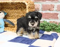 processed/17048cad-24e9-4b01-92b9-bebf3d8eeae9/listing/1768f47e-8810-46d8-89eb-e90ffbedd568/3b4a3503-da65-4f00-bb79-acc12b392edd