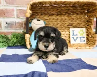 processed/17048cad-24e9-4b01-92b9-bebf3d8eeae9/listing/1768f47e-8810-46d8-89eb-e90ffbedd568/b2dca284-4f5a-4884-92e8-13b5192b4b2b