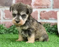 processed/17048cad-24e9-4b01-92b9-bebf3d8eeae9/listing/240cac14-bd45-42ee-b036-33913081babc/d45b5fc4-397c-4a56-8a9b-60ef2ee6cd0d