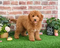 processed/17048cad-24e9-4b01-92b9-bebf3d8eeae9/listing/5b9cf8c2-a1ea-4e86-a90f-79f88814dcf3/2e0614a1-e9f9-47cb-9e86-d8e1315f8b26