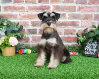 processed/17048cad-24e9-4b01-92b9-bebf3d8eeae9/listing/a3fa0f94-dedf-4d01-baa6-ff56010d1a4a/73ec3df5-a0aa-49ad-a476-7d86d95ad11d