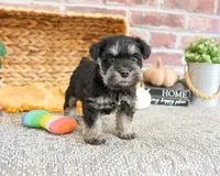 processed/17048cad-24e9-4b01-92b9-bebf3d8eeae9/listing/a3fa0f94-dedf-4d01-baa6-ff56010d1a4a/7eda1fbb-1148-418b-a328-e28eb59ec57f