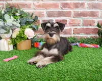 processed/17048cad-24e9-4b01-92b9-bebf3d8eeae9/listing/a3fa0f94-dedf-4d01-baa6-ff56010d1a4a/83d774fb-c412-44b0-bf63-a51a71d7a2c6