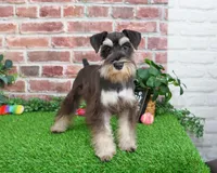 processed/17048cad-24e9-4b01-92b9-bebf3d8eeae9/listing/a3fa0f94-dedf-4d01-baa6-ff56010d1a4a/ad286abf-2da7-4a2d-90e3-ebd8f1c09ee5