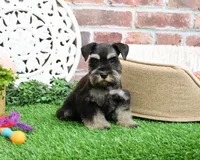 processed/17048cad-24e9-4b01-92b9-bebf3d8eeae9/listing/a3fa0f94-dedf-4d01-baa6-ff56010d1a4a/eec021f1-787b-49b1-9984-2f5a59b6af8b