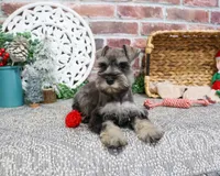 processed/17048cad-24e9-4b01-92b9-bebf3d8eeae9/listing/b1b6784b-a72b-49a5-a81c-426619a719b4/717a9b44-3952-4754-9988-0692533787af