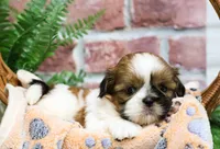 processed/17048cad-24e9-4b01-92b9-bebf3d8eeae9/listing/bd4c2e8a-b5ee-4f70-b8f7-6d9087fa6d82/293180ce-faae-4352-beeb-f7edf26d6ab0