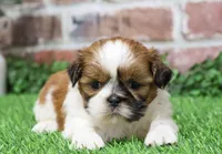 processed/17048cad-24e9-4b01-92b9-bebf3d8eeae9/listing/bd4c2e8a-b5ee-4f70-b8f7-6d9087fa6d82/562371aa-3437-4da5-8892-cf6aca663a4f