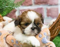 processed/17048cad-24e9-4b01-92b9-bebf3d8eeae9/listing/bd4c2e8a-b5ee-4f70-b8f7-6d9087fa6d82/6c8e7925-b15d-4141-96fa-479e2a12fea9