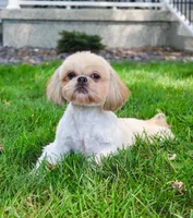 processed/17048cad-24e9-4b01-92b9-bebf3d8eeae9/listing/bd4c2e8a-b5ee-4f70-b8f7-6d9087fa6d82/787bdae2-c530-4e1a-8cd4-bd885543df6c