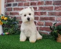 processed/17048cad-24e9-4b01-92b9-bebf3d8eeae9/listing/ea87a7f6-425c-461d-a3fa-31914c5a0710/34b8161c-a4c2-4f5f-9443-53f355250a9e