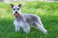 processed/17048cad-24e9-4b01-92b9-bebf3d8eeae9/listing/f78fd1c6-ef9a-4090-b9e0-f623b4d3aa68/74e3d149-3d00-44dd-8f82-66b7b49b3160