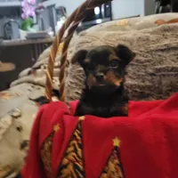 processed/17069f07-9759-4b37-9a1c-fbe429c0bbf0/listing/6f525d08-7ce5-476c-ac2e-b49335186d58/00befd0d-4b9a-4f5e-afe5-114686377c09