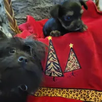 processed/17069f07-9759-4b37-9a1c-fbe429c0bbf0/listing/6f525d08-7ce5-476c-ac2e-b49335186d58/790e2814-59f0-4ad3-9eab-66bed7e1a4a9