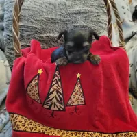 processed/17069f07-9759-4b37-9a1c-fbe429c0bbf0/listing/80346686-66f1-4019-9ca4-244936b42abc/8b832850-ba9e-4c41-b429-a6b09b8f5230