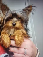 processed/17069f07-9759-4b37-9a1c-fbe429c0bbf0/listing/80346686-66f1-4019-9ca4-244936b42abc/8fdeb74c-361e-4d69-8912-027eebf0f47d