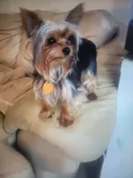 processed/17069f07-9759-4b37-9a1c-fbe429c0bbf0/listing/cbd21d07-1a7d-4c5a-a7f7-7808b5ded46f/07d3ff00-953c-4bfb-9462-e8cd860728f0