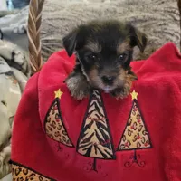 processed/17069f07-9759-4b37-9a1c-fbe429c0bbf0/listing/cbd21d07-1a7d-4c5a-a7f7-7808b5ded46f/486cec12-1bdf-4cff-af20-0c827c22d34b