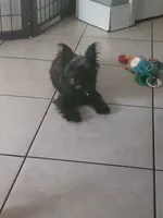 processed/17069f07-9759-4b37-9a1c-fbe429c0bbf0/listing/cbd21d07-1a7d-4c5a-a7f7-7808b5ded46f/6603d67f-01c2-4740-b9db-84008e4b0716