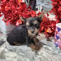 processed/17069f07-9759-4b37-9a1c-fbe429c0bbf0/listing/cbd21d07-1a7d-4c5a-a7f7-7808b5ded46f/934d9122-aa74-4659-aec2-ec5861e48b48