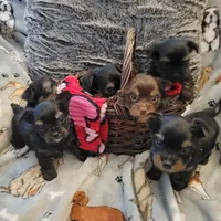 processed/17069f07-9759-4b37-9a1c-fbe429c0bbf0/listing/cbd21d07-1a7d-4c5a-a7f7-7808b5ded46f/d650e0fd-c0b0-41cd-8c46-a6f2add552e7