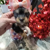 processed/17069f07-9759-4b37-9a1c-fbe429c0bbf0/listing/cbd21d07-1a7d-4c5a-a7f7-7808b5ded46f/db4b4a5f-33b3-42d1-be87-62084f092e31